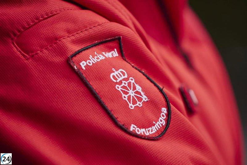 19 agricultores sospechosos de intentar asaltar el Parlamento de Navarra son llamados para detención.