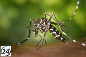 Campaña de control de mosquito tigre en Navarra por el Instituto de Salud Pública y Laboral.