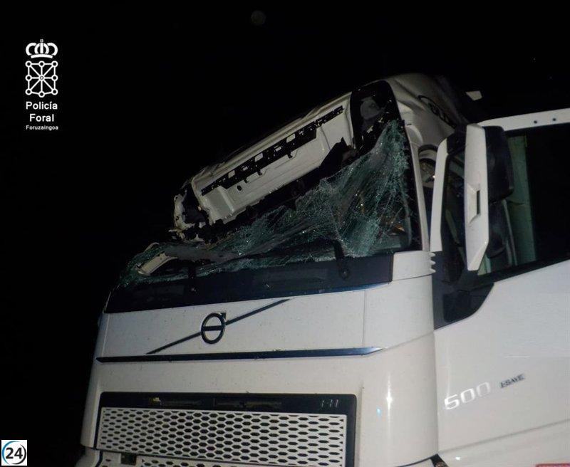 Infracción grave en la NA-134: camionero cuadruplica límite de alcohol y da positivo en cocaína