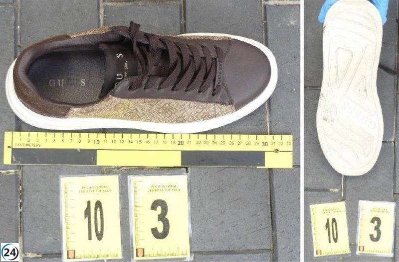 Desmantelan red de robos en Vitoria y Rentería tras la captura de dos sospechosos en Marcilla.