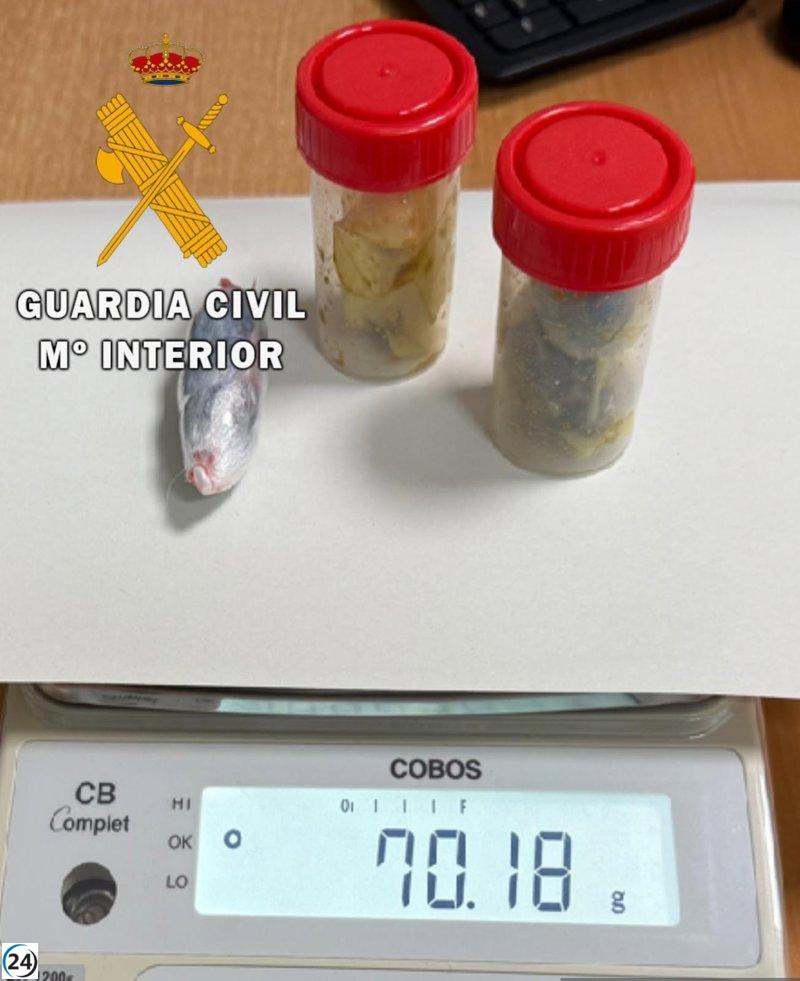 Capturan a parientes de reclusos en Pamplona por intento de contrabando de drogas durante visita.