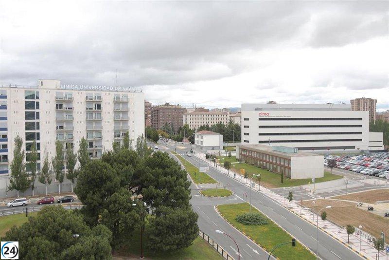 Realizan exitoso trasplante de riñones porcina con organoides humanos.