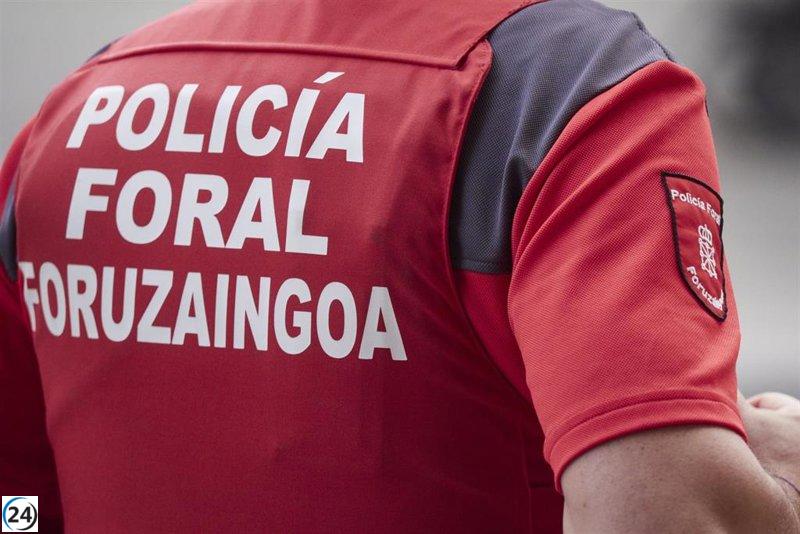 Detenidos dos hombres que intentaron huir tras robar en un hogar de Cizur.