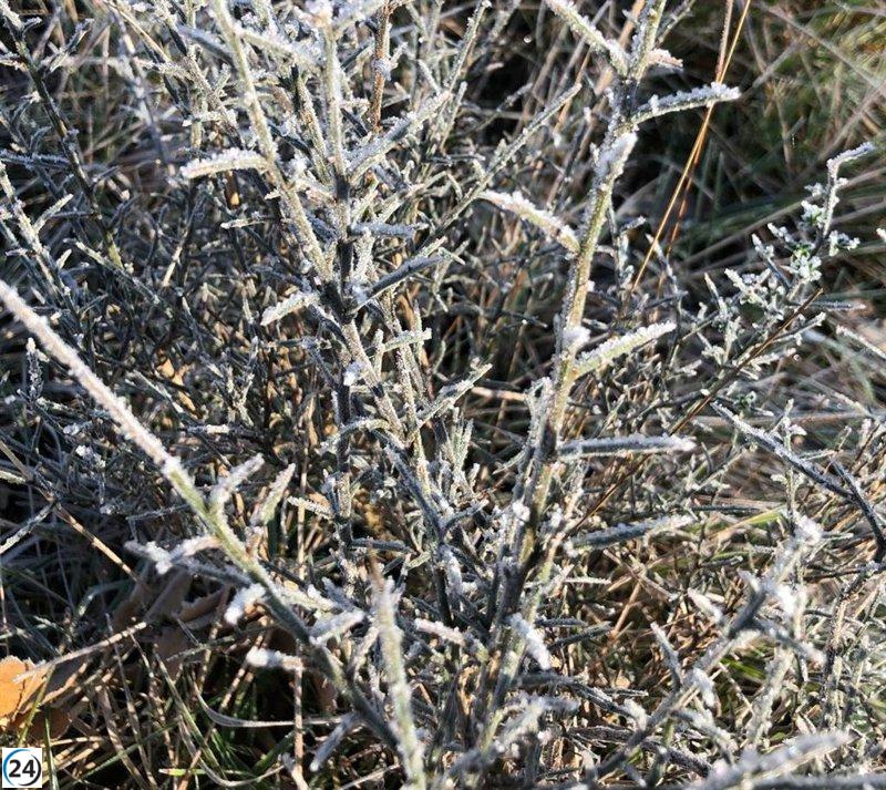 Alerta amarilla por frío intenso este lunes en gran parte de Navarra.