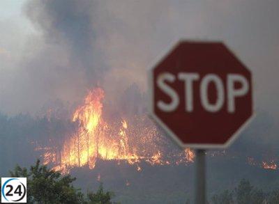 El Gobierno de Navarra activa sus elementos para extinguir los incendios