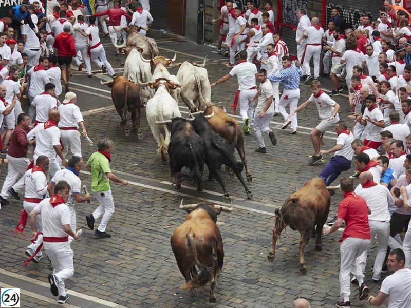 Veloz y atropellado primer encierro de Sanfermines protagonizado por los toros de La Palmosilla
