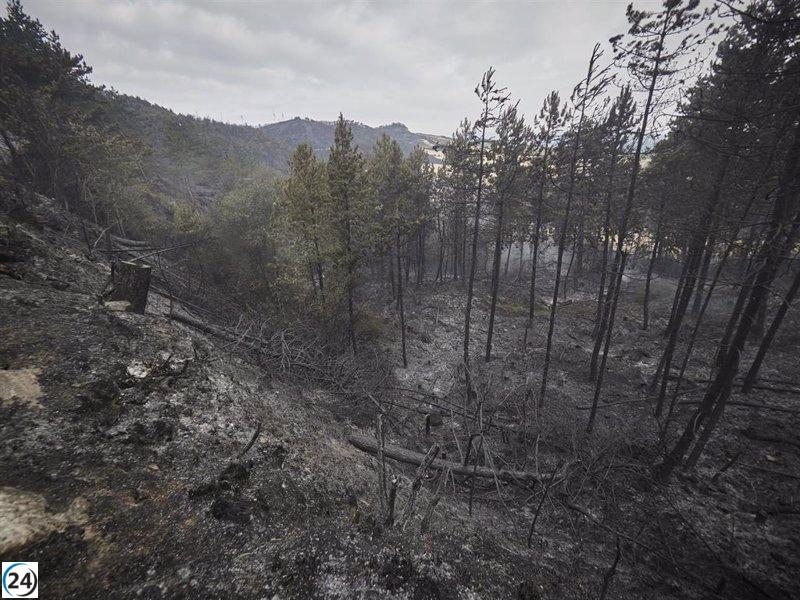 Alerta en Navarra por riesgo extremo de incendios la próxima semana