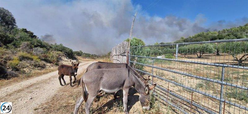 La Guardia Civil salva animales en incendio de Artajona.