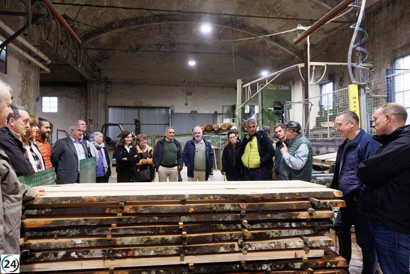 Navarra lidera el incremento de aprovechamiento forestal con un objetivo ambicioso para 2030.
