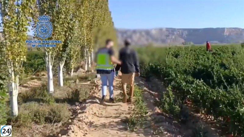 Organización criminal desmantelada por explotar trabajadores inmigrantes en Navarra y Zaragoza