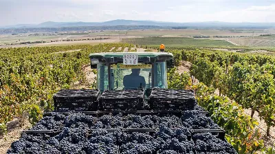 Enoturismo en la Ribera de Navarra