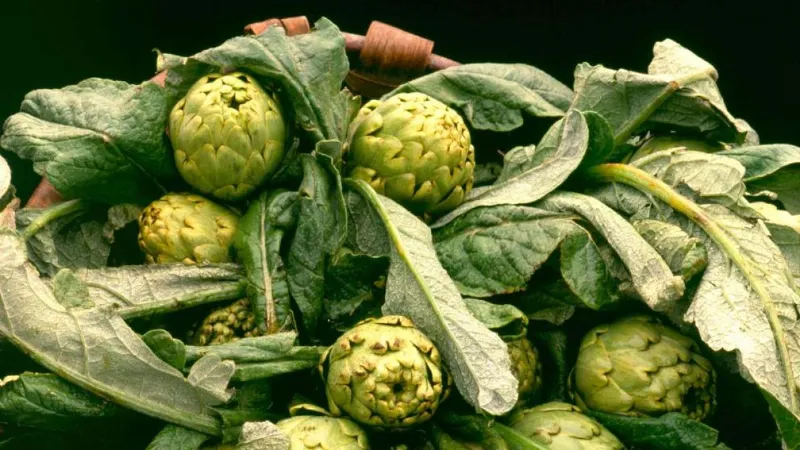 Tudela y sus famosas verduras