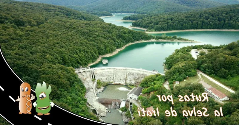 Un homenaje al río Irati caminando por la ruta de los dos ríos