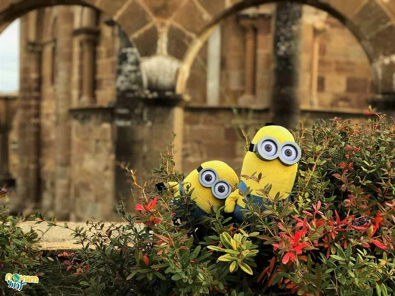 La tranquilidad de la Ermita de Eunate te sorprenderá