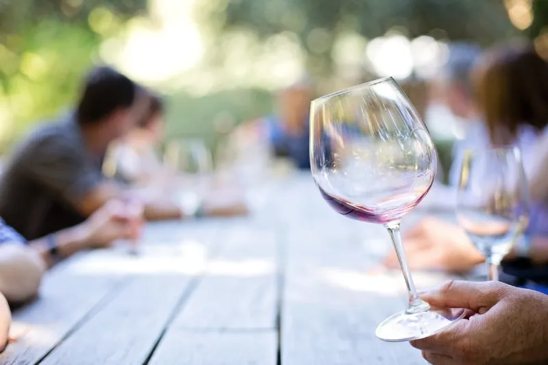 Visita a las bodegas de Navarra y degusta sus vinos