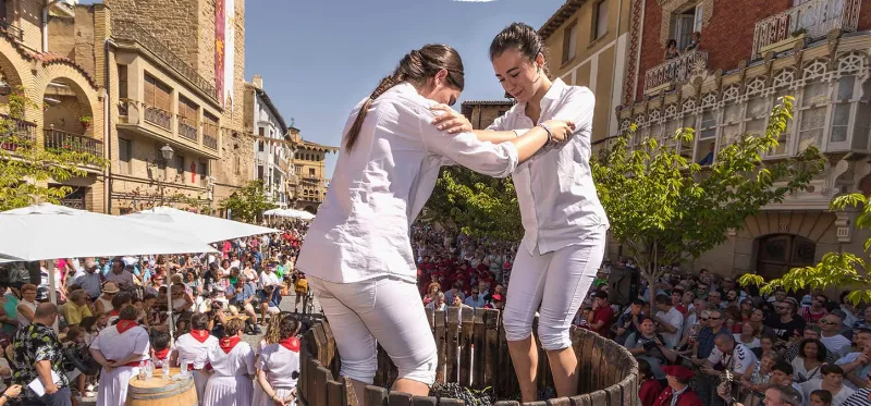 La fiesta de la vendimia: una celebración del vino en Navarra
